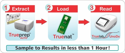 Sample to Results Process